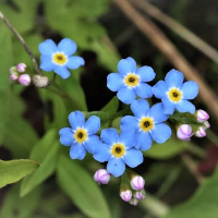 Edith Marie Kirkvaag