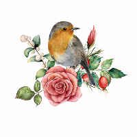 Ann Inger Skjølsvik